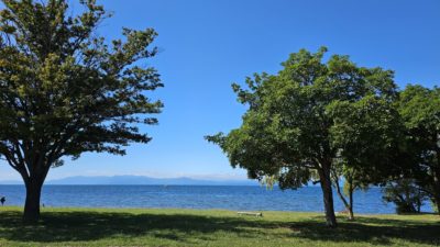 #17 魅は与によって生じ、求によって滅す