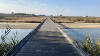 #10 【滋賀・京都・大阪】スポーツトレーナー北岡｜部活・スポーツ選手からシニアまで体力アップ・健康増進を徹底サポート