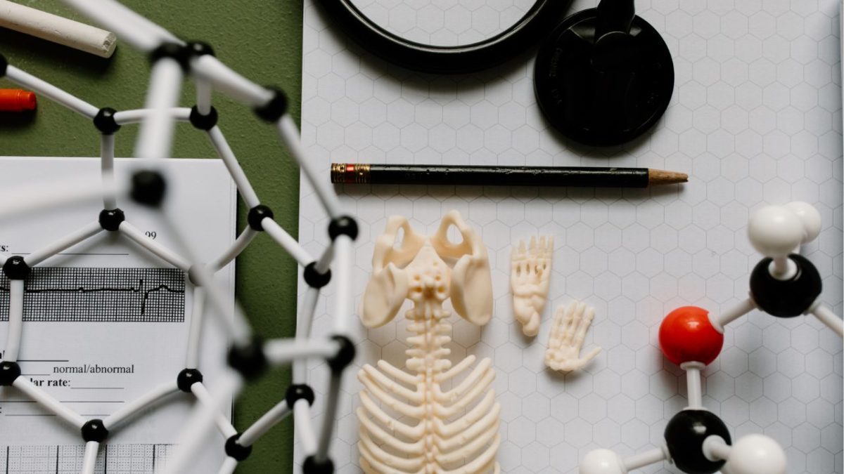 #35 【完全解説】学生でもわかるトレーニング生理学｜筋肉のエネルギーと身体のしくみを理解しよう