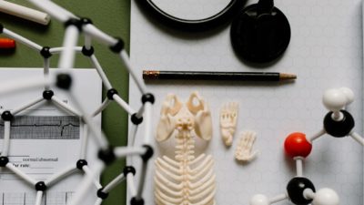 #35 【完全解説】学生でもわかるトレーニング生理学｜筋肉のエネルギーと身体のしくみを理解しよう